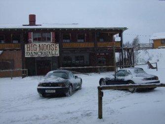 Bigmoose.jpg