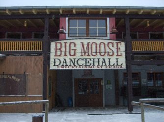 Bigmoose2.jpg