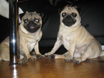 Oskar und Johnny.jpg