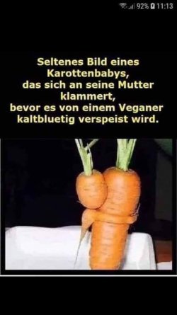 Selten....jpg