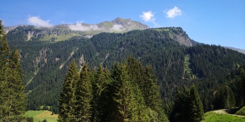 IMG_20190801_113929.jpg