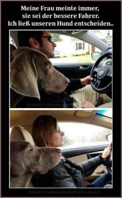 Wer ist der bessere Fahrer.jpg