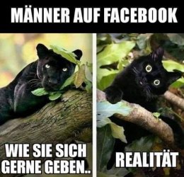 2Unbenannt.JPG 2Unbenannt.JPG