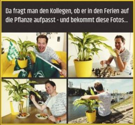 5Unbenannt.JPG 5Unbenannt.JPG