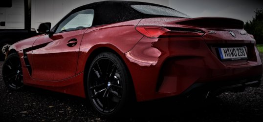 DSC_9615Z4Rotkomp.jpg
