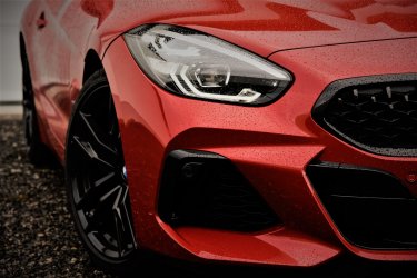DSC_9601Z4Rotkomp.jpg