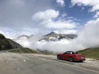 IMG_1100.jpg