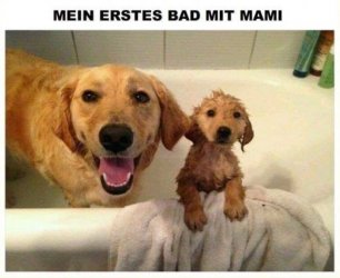 tUnbenannt.JPG