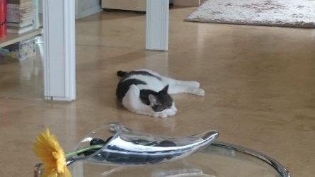 DSC_2111.JPG
