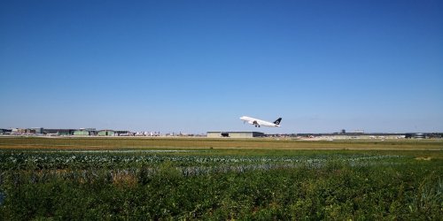 IMG_20190818_134016.jpg