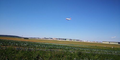 IMG_20190818_132655.jpg