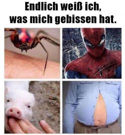 4Unbenannt.JPG