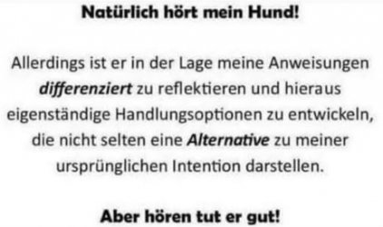 3Unbenannt.JPG