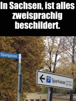 4Unbenannt.JPG