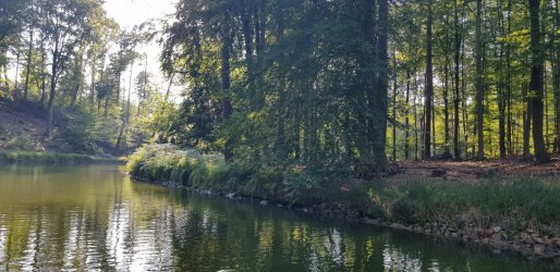 20190823_173512-1612x784.jpg
