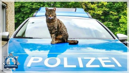 Wir....jpg