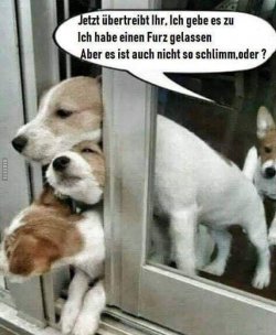 E82E52FA-D45C-497E-B102-E8F73D00BD66.jpeg