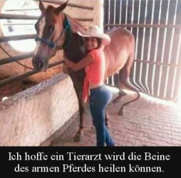 6Unbenannt.JPG