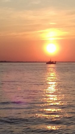 20190825_201550.jpg