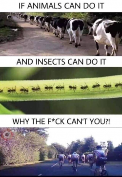 1567153091645.png
