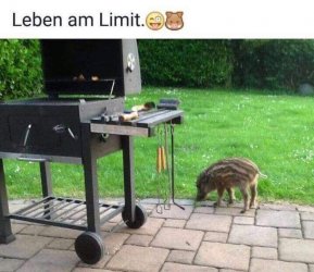 Limit_8E507540-64F9-4104-B4AA-44BFF6F39A87.jpeg