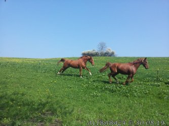 20130505_111415.jpg