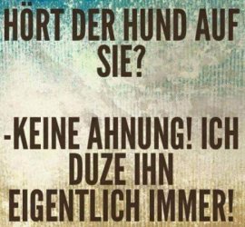 5Unbenannt.JPG