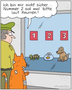3Unbenannt.JPG