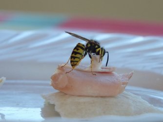 2016_0827_145325.JPG