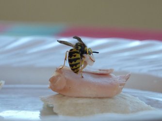2016_0827_145357.JPG