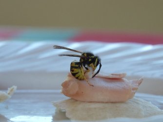 2016_0827_145407.JPG