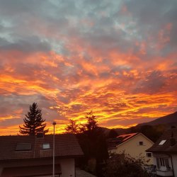 20171007_190547.jpg