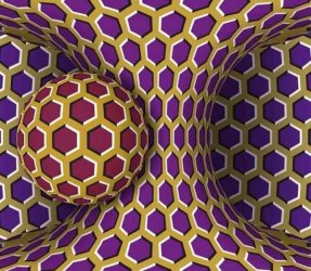 AFF637BC-AB48-4694-8AD6-C513D9E56532.jpeg