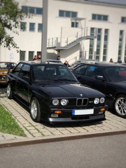 IMG_0251.jpeg