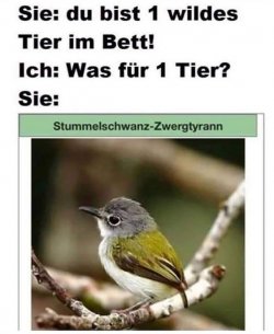 1Unbenannt.JPG