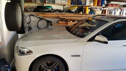 6F95CA89-BF2D-429B-A06E-A02B6BF87141.jpeg 6F95CA89-BF2D-429B-A06E-A02B6BF87141.jpeg