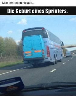 CD555050-5016-4302-B778-C5C81AAE44DE.jpeg