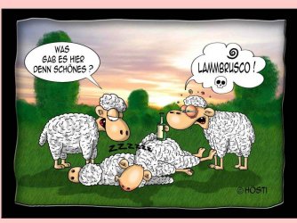 Folie5.JPG