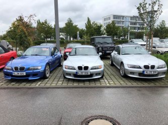 Z333_1.jpg