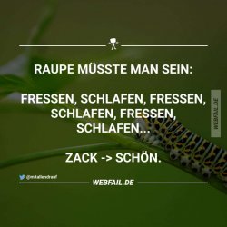 3DCBDD12-913D-4A9B-A34F-6B2CBDE76F9D.jpeg