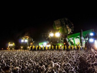 Konzert im Feld.jpg