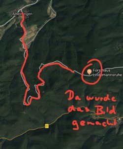 Screenshot_20190916-063542_Maps.jpg