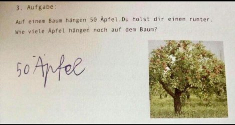 Äpfel_sApp Image 2017-06-09 at 14.16.20.jpeg