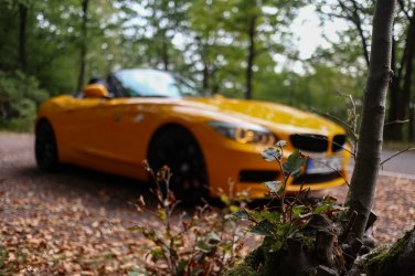 Z4Wald-6.jpg
