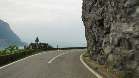 DSC09783.JPG