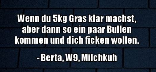 5Unbenannt.JPG