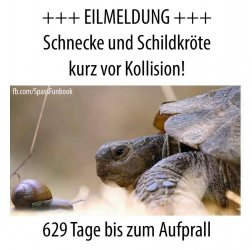 9B5B9BD7-EC57-4657-87E2-587A72BDEA87.jpeg