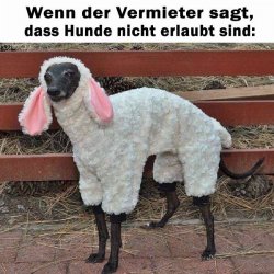 81561804-8DD1-4825-8DD6-056C741523E4.jpeg