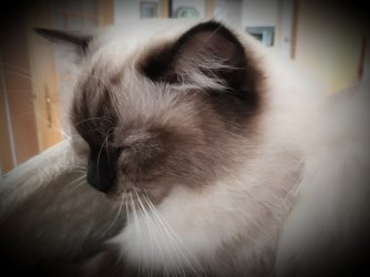 20190917_153356.jpg