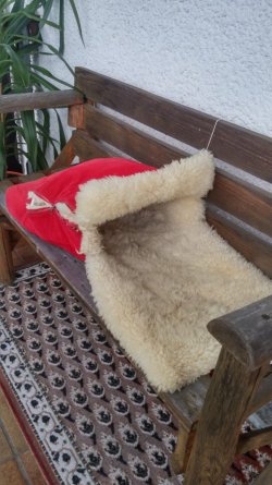 IMG-20190909-WA0001.jpg